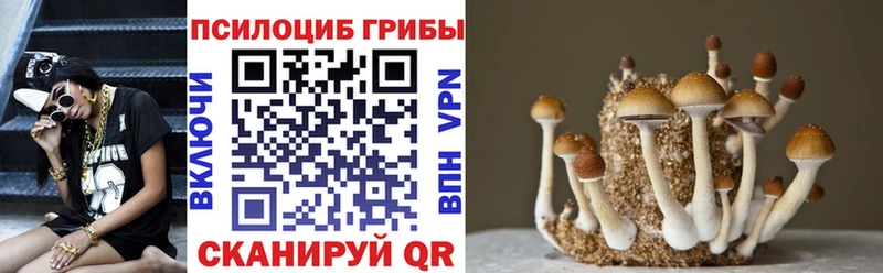 Псилоцибиновые грибы GOLDEN TEACHER  Вилючинск 