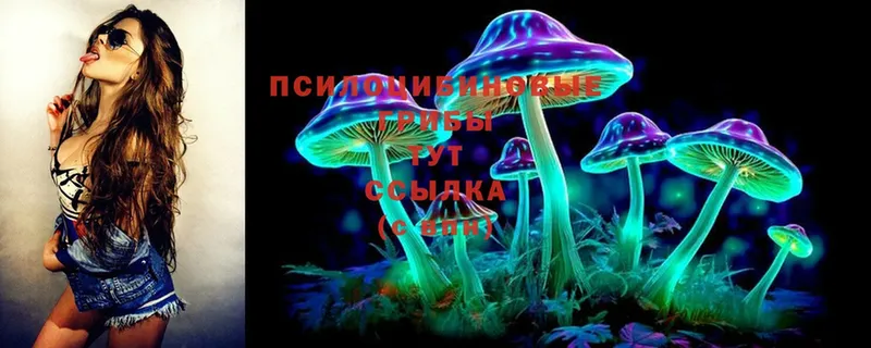 Псилоцибиновые грибы MAGIC MUSHROOMS  Вилючинск 