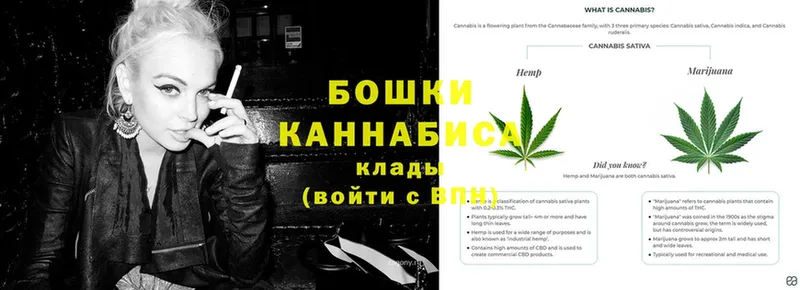 где купить   Вилючинск  Бошки Шишки SATIVA & INDICA 